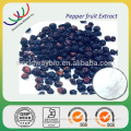 Piperine free sample Kosher HACCP FDA China manufacturer HPLC 10% black paper extract piperine